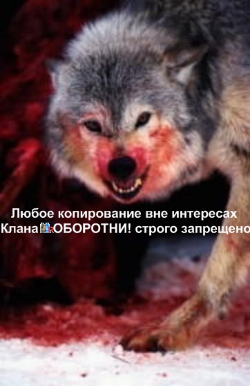 http://oldbk-oborotni.ucoz.ru/dlya_sayta/politika_klana/loups043kartinka_dlja_politiki_klana11.jpg