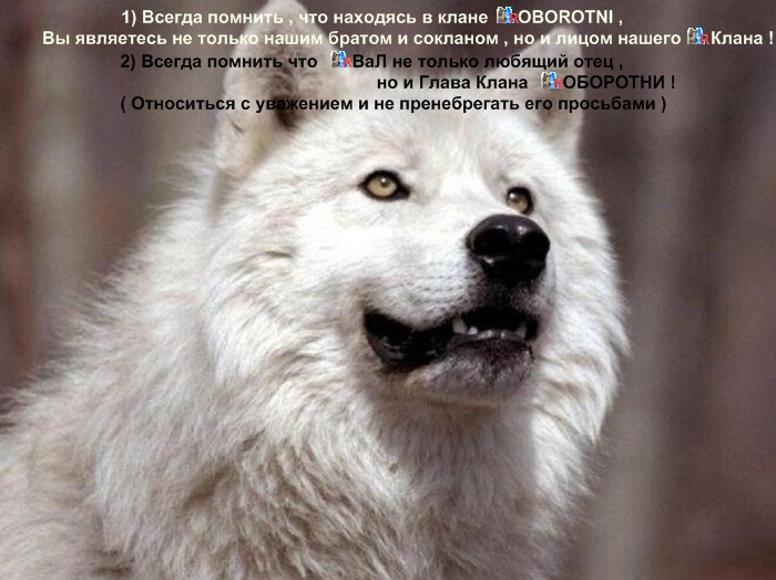 http://oldbk-oborotni.ucoz.ru/dlya_sayta/politika_klana/new7.jpg